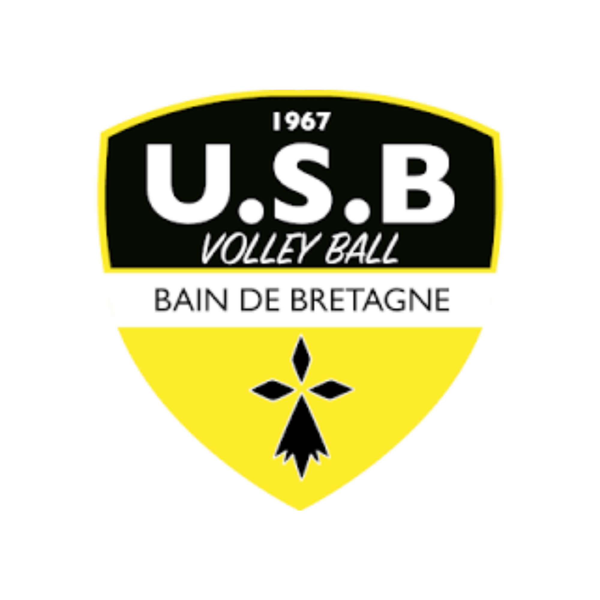 USB Volleyball