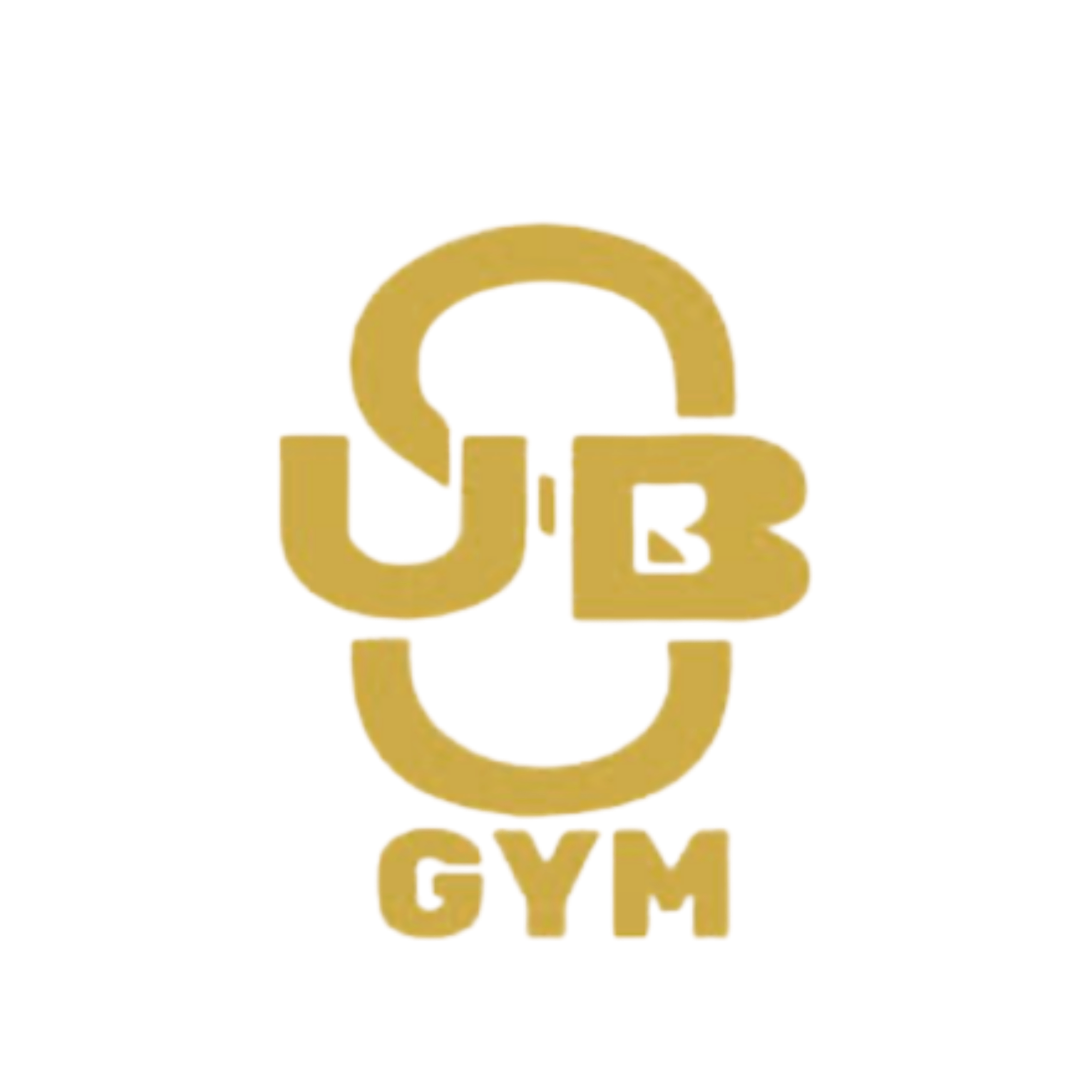 USB Gym